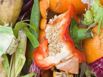 Kitchen waste